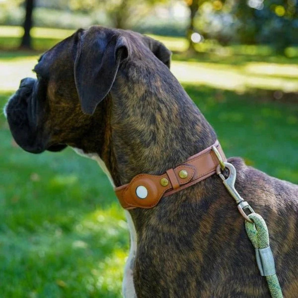Collare per cani con supporto sicuro per AirTag