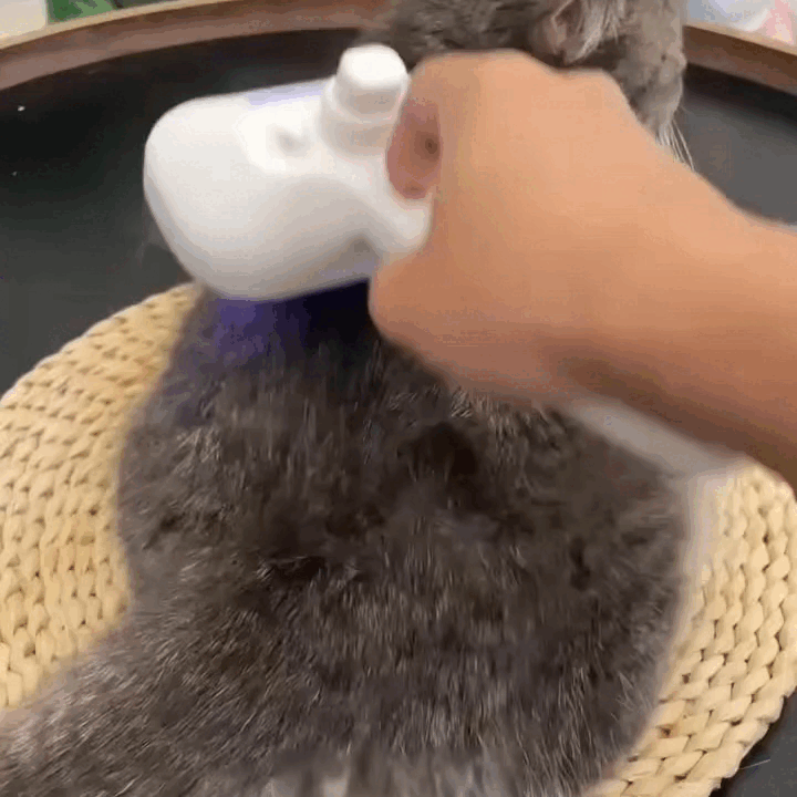 Spazzola Rimuovi Peli