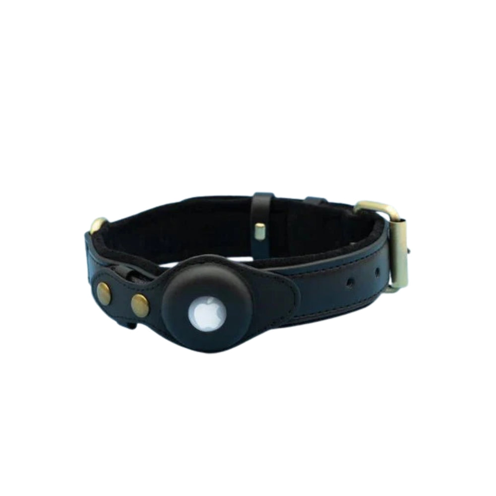 Collare per cani con supporto sicuro per AirTag