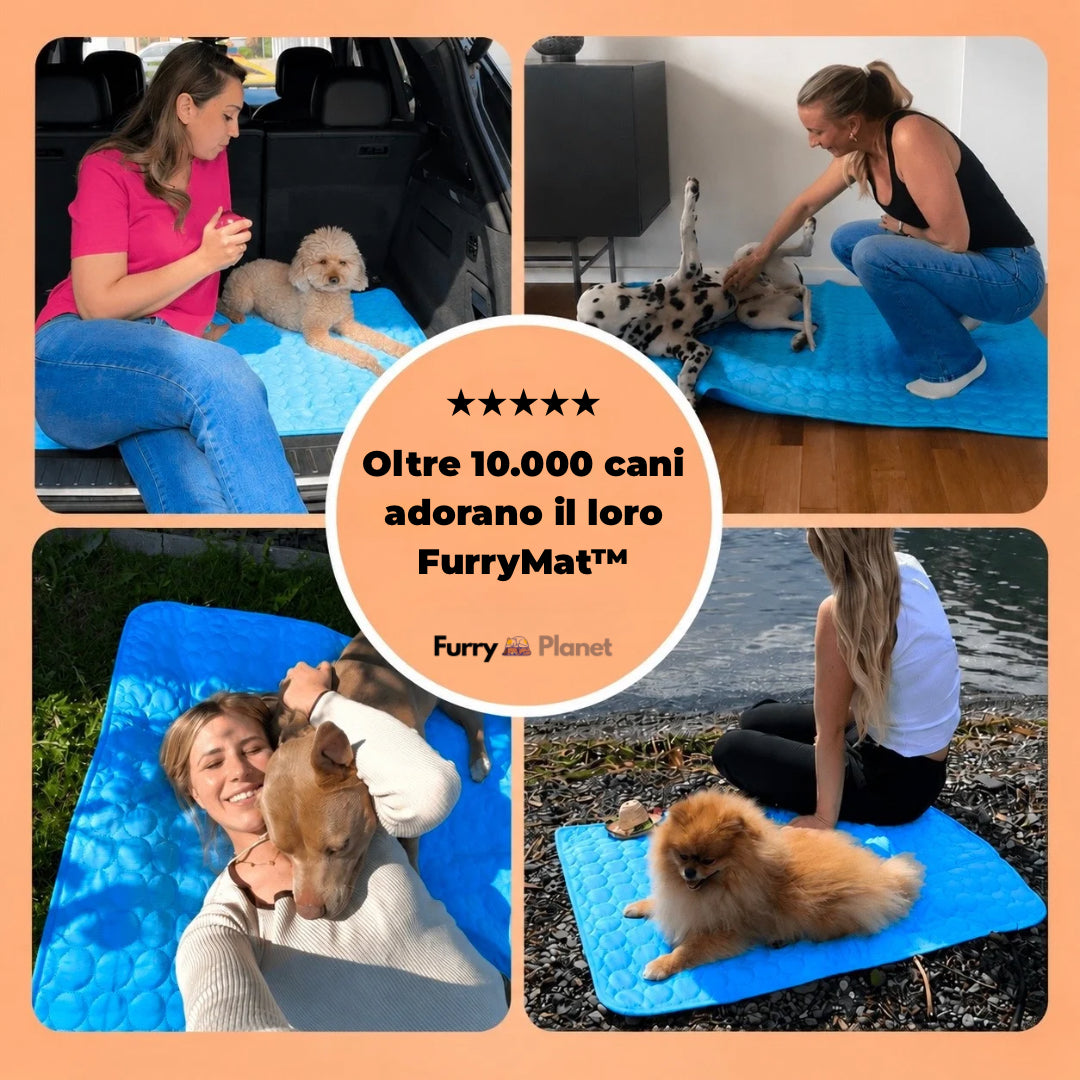 FurryMat™ Tappetino Auto Rinfrescante