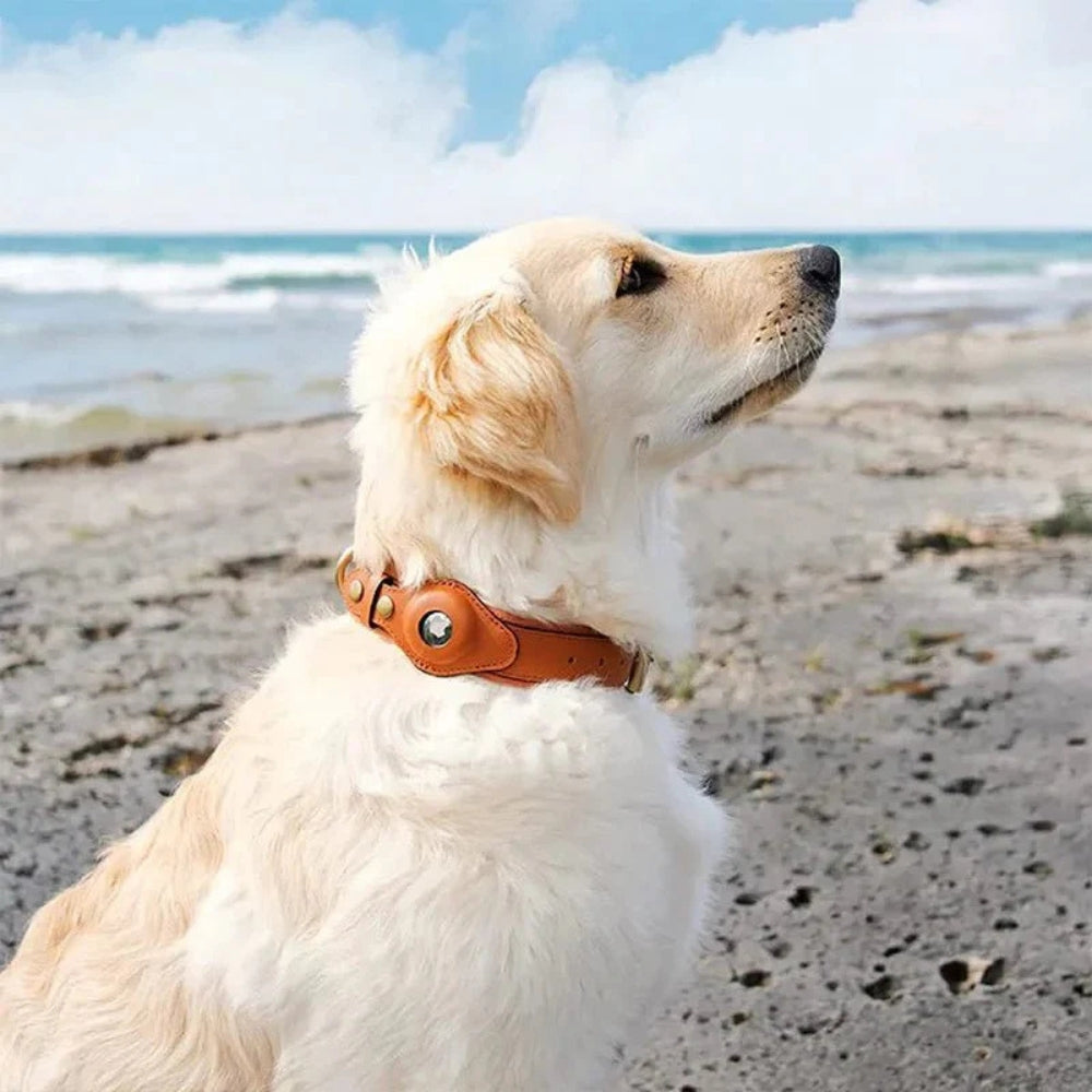 Collare per cani con supporto sicuro per AirTag