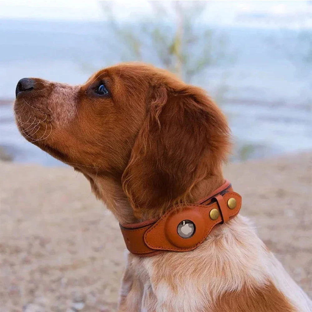 Collare per cani con supporto sicuro per AirTag