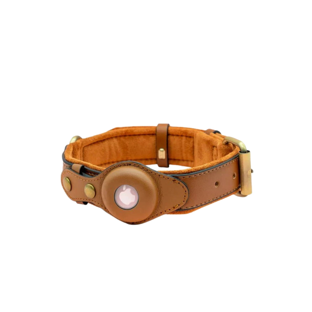 Collare per cani con supporto sicuro per AirTag